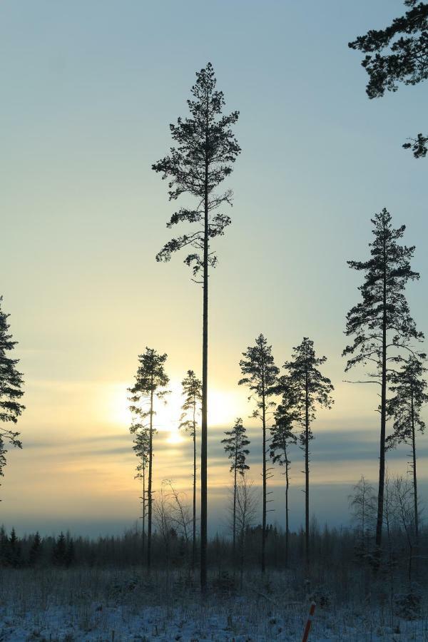 Hirsimoekki Ja Makuuaitta Hotel Karijoki Luaran gambar